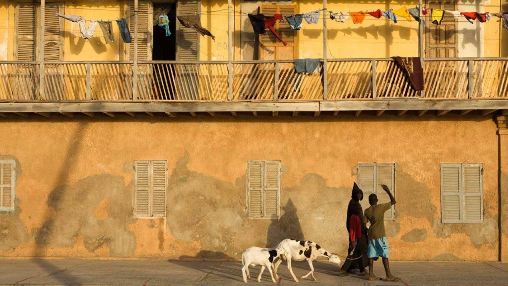 Senegal Yurtdışı Kargo Gönderimi - Evrak | Koli | Numune